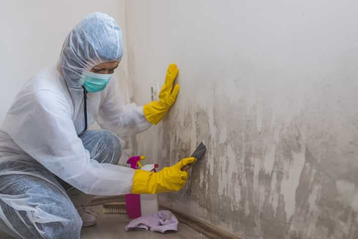 Mold Evaluation & Assessment Services Near Me In Frisco